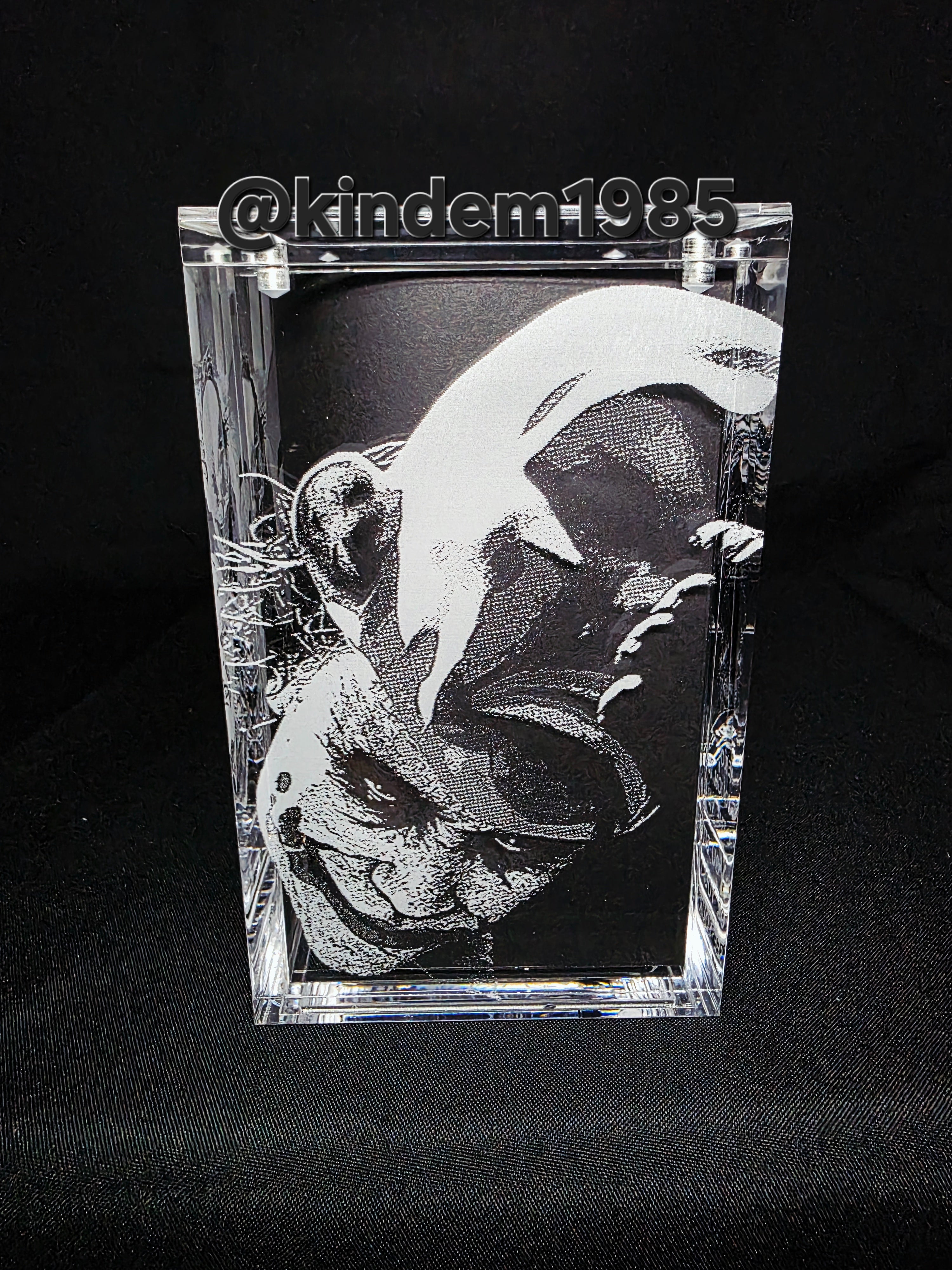 Bank Robber Joker Batman Funko Pop Premium Armor Custom Protector